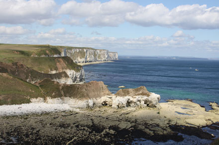 Flamborough and Bempton