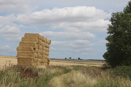 Green Lane - Wetwang