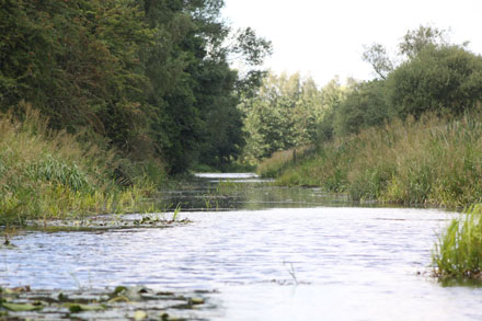 Pocklington Canal