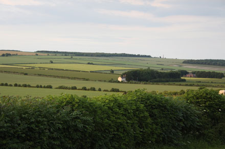 View Towards Sykes Memorial - Sledmere