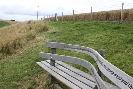 Wander Bench - Wolds Way